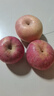 甜醉了 煙臺蘋(píng)果棲霞紅富士新鮮水果生鮮山東特產(chǎn)脆甜整箱平果禮盒禮品 紅富士?jì)糁?.5斤75-80mm 曬單實(shí)拍圖