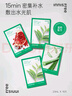 悅詩風吟（Innisfree）綠茶面膜*2石榴面膜*1蘆薈面膜*1面膜套裝 曬單實拍圖