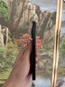 Apple【國行補(bǔ)貼】iPhone 16Pro Max 蘋果16Promax 國行 5G 蘋果手機(jī) 黑色鈦金屬【618大促】 256GB【0首付+24期免息+豪華大禮包】 曬單實(shí)拍圖