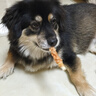瘋狂小狗寵物狗狗零食磨牙棒牛皮卷小型犬幼犬成犬 小號甜甜圈80g*3 曬單實(shí)拍圖
