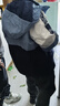 迪士尼男童沖鋒外套兒童秋冬裝搖粒絨兩件套中大童三合一3CS021藍(lán)色130 曬單實(shí)拍圖