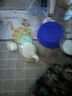 愛他美（Aptamil）德國白金版HMO 較大嬰兒配方奶粉2段(6個月以上) 800g 德愛白金 曬單實拍圖