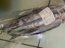 朵芙 新鮮秋刀魚(yú) 4斤 凈重獨立包裝刀魚(yú)秋刀魚(yú)燒烤食材海鮮水產(chǎn) 【新鮮秋刀魚(yú)4斤】500g*4袋 曬單實(shí)拍圖