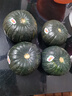 京覓四川大涼山丑蘋(píng)果 凈4.5斤 單果70mm+新鮮水果冰糖心蘋(píng)果源頭直發(fā) 曬單實(shí)拍圖