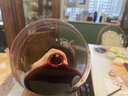 靚茨伯（CHATEAU LYNCH BAGES）副牌干紅葡萄酒2020年進(jìn)口紅酒 冰袋配送 曬單實(shí)拍圖
