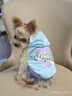 MIKI PAD寵物狗狗衣服中小型犬春秋薄款衛衣貓咪衣服雪納瑞比熊兩腳衣連帽 多巴胺撞色衛衣【帶牽引扣】 S胸圍37cm（參考體重3-6斤） 曬單實(shí)拍圖