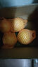 琪江果福建黃金葡萄柚 當季西柚黃肉小柚子新鮮水果整箱 黃金葡萄柚4.5-5斤4-6個(gè) 曬單實(shí)拍圖