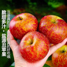 京覓四川大涼山丑蘋(píng)果 凈4.5斤 單果70mm+新鮮水果冰糖心蘋(píng)果源頭直發(fā) 曬單實(shí)拍圖