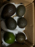 京鮮生 秘魯微催熟牛油果6粒裝 單果100-120g 生鮮水果 源頭直發(fā) 曬單實(shí)拍圖