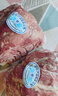 月盛齋【冰鮮牛肉】國產(chǎn)牛腩1斤 內蒙牛肉鮮肉 中華老字號 曬單實(shí)拍圖