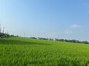 PWL925銀針氣質(zhì)珍珠耳釘2025新款水晶蝴蝶耳環(huán)輕奢小眾高級(jí)感耳飾女 925銀針蝴蝶珍珠耳釘（兩只價(jià)） 曬單實(shí)拍圖