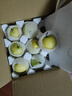 京鮮生 河北青翠蜜梨 凈重4.5斤 單果250g+ 青皇冠梨 生鮮水果 源頭直發(fā) 曬單實(shí)拍圖