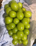 京鮮生 陽(yáng)光玫瑰葡萄 青提4-4.5斤禮盒裝 單果約10g 生鮮水果 生鮮禮盒 曬單實(shí)拍圖