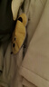 PawinPaw卡通小熊童裝秋冬男女寶精靈帽棉服舒適保暖 Grey灰色/15 100 cm 曬單實拍圖