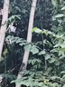 睛小豆?？低曃炇彝?g攝像頭終身免流量家用防水雙攝高清戶外監(jiān)控器360度無死角帶夜視無需連wifi 曬單實拍圖