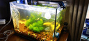 AMTRA TECHNIK德國安彩壁掛過(guò)濾器ex650魚(yú)缸過(guò)濾器烏龜低水位凈水靜音 EX650 新版除油膜器【內含濾材】 曬單實(shí)拍圖