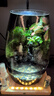 丘辰苔蘚微景觀(guān)養魚(yú)生態(tài)瓶diy辦公室內桌面綠植擺件花卉盆栽生日禮物 翠微香（香薰底座） 曬單實(shí)拍圖