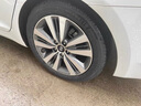 米其林（MICHELIN）汽車(chē)輪胎 195/65R15 91V 耐越 ENERGY MILE 適配卡羅拉/朗逸/雷凌 曬單實(shí)拍圖