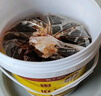 胖子麻辣魚(yú)佐料3kg桶裝萬(wàn)州烤魚(yú)藤椒魚(yú)水煮魚(yú)水煮牛肉石鍋魚(yú)商用調料 【麻辣魚(yú)3kg】1桶 曬單實(shí)拍圖