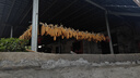 優(yōu)衣庫超品好價(jià)男裝女裝柔軟針織搖粒絨圓領(lǐng)套頭衫T恤470641 08 深灰色 L /175/100A 曬單實(shí)拍圖