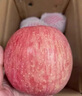 京鮮生 煙臺紅富士蘋(píng)果 凈重10斤 單果220g以上 中秋水果禮盒 曬單實(shí)拍圖