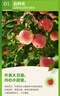 京鮮生 新疆阿克蘇蘋(píng)果 凈重9斤 巨無(wú)霸95-100mm 新鮮水果 曬單實(shí)拍圖