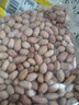 新花生米山東去殼花生米散花生米花生米大?；ㄉ收ビ拖戮?斤 去殼花生米中果5斤 曬單實(shí)拍圖