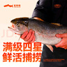 龍羊峽冰鮮國產(chǎn)青海三文魚(yú)整條大魚(yú)禮盒冷水魚(yú)生鮮高原虹鱒送禮順豐 冰鮮整魚(yú)禮盒 3.8kg （7-8斤） 曬單實(shí)拍圖