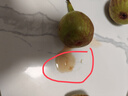 壹萌果蔬云南紅皮無(wú)花果【JD順豐多地次日達(dá)】新鮮無(wú)花果鮮果水果當(dāng)季現(xiàn)摘 3斤7A精品大果【單果40g+】?jī)?斤 曬單實(shí)拍圖