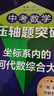 初中數(shù)學壓軸題精講精練（九年級+中考） 曬單實拍圖