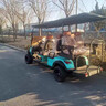 高爾夫球車(chē)四座4人6座兩座坐出口小型旅游觀(guān)光電動(dòng)車(chē)四輪酒店擺渡巡邏看房電瓶車(chē)拉貨球場(chǎng)高爾夫車(chē) C款2+2座鋰電高配 曬單實(shí)拍圖