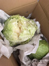 京鮮生山東新鮮綠甘藍凈重5斤單果200g+卷心菜甘藍新鮮蔬菜 源頭直發(fā) 曬單實(shí)拍圖