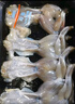 冰鮮牛蛙4只裝400g 曬單實(shí)拍圖