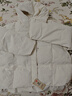 托瑪菲短款棉服女冬季2025新款羽絨棉衣外套女裝寬松面包服韓系學(xué)生棉襖 白色 M 碼 曬單實(shí)拍圖