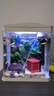 魚(yú)缸背景貼紙壁紙5d立體高清圖定制水草外貼水族自粘3d造景裝飾畫(huà) 40.5D水草魚(yú)缸造景 寬30cm-高20cm【贈送安裝工具】 曬單實(shí)拍圖