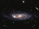 星特朗EQ3 901000大口徑升級長(cháng)焦款高清高倍觀(guān)星觀(guān)景專(zhuān)業(yè)級天文望遠鏡 曬單實(shí)拍圖