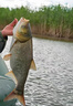 德島 TOKU SHIMA德島紡車(chē)輪風(fēng)焰DG錨魚(yú)輪魚(yú)線(xiàn)輪大物遠投輪緩降全金屬錨漁輪超大型 風(fēng)焰8000型中杯+終身保修 左右手互換型 曬單實(shí)拍圖