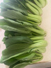 上海青約500g(油菜) 曬單實(shí)拍圖