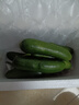 山東荷蘭水果黃瓜健康輕食早餐新鮮蔬菜生鮮單果≥90g 凈重 2斤 嘗鮮款 曬單實(shí)拍圖
