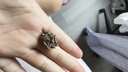 巴拉巴拉（BALABALA）童裝寶寶羽絨服冬季嬰兒短款外套兒童上衣洋氣萌男童女童 奶白10501 100 cm 充絨量73g 曬單實(shí)拍圖