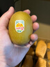 佳沛（zespri）新西蘭 陽(yáng)光金奇異果12粒禮盒特大果單果約122-146g 獼猴桃 水果 曬單實(shí)拍圖