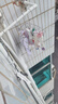 巴拉巴拉襪子秋季嬰幼兒中筒襪柔彈不勒無(wú)骨手工縫五雙裝209925172214 曬單實(shí)拍圖