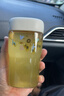 好好同學(xué)PPSU水杯女咖啡杯學(xué)生兒童耐高溫杯子高顏值夏季防摔吸管便攜杯子 【平蓋直飲】 450ml 曬單實(shí)拍圖