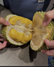 京鮮生馬來(lái)西亞D197貓山王榴蓮冷凍3-3.5斤保4房進(jìn)口新鮮水果 曬單實(shí)拍圖