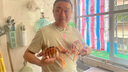 南海特大紅花蟹銹斑蟳梭子蟹當天到港精選滿(mǎn)肉空運冷鏈新鮮到家 凈重 3斤 每只1斤-2斤特大蟹 曬單實(shí)拍圖
