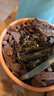 金雅特蘭花專(zhuān)用營(yíng)養土蝴蝶蘭君子蘭花土樹(shù)皮松磷種植尊貴版蘭花土6L 曬單實(shí)拍圖