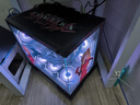 華碩全家桶【24期免息】RTX5070ti/5070/5060Ti顯卡i5 14600KF臺式整機(jī)明日香mod機(jī)箱組裝電腦DIY主機(jī) i5 13400F+華碩RTX5060 配置一 曬單實(shí)拍圖