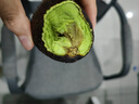 山姆大叔 金獎·哈斯牛油果云南孟連【閃送】當季鱷梨非即食新鮮水果禮盒 【80%選擇】精品果丨約100-130g 8枚【80%選擇-狠劃算】普裝 曬單實(shí)拍圖