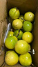 京地達廣西欽蜜9號黃金百香果 凈重5斤單果60-70g/35-42個(gè) 源頭直發(fā)包郵 曬單實(shí)拍圖