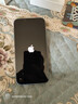Apple【即將售完】蘋果iPhone14promax 蘋果14plus雙卡 全網(wǎng)通 5G手機(jī) 蘋果14 藍(lán)色 6.1寸 128GB【店保2年+配件禮包】 曬單實拍圖